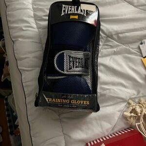 Everlast Blue and Black Training Gloves